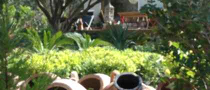 Bodrum Peyzaj-Bodrumda Peyzaj Düzenleme