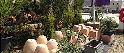 Yalıkavak Peyzaj Mimarı- Saksı Satışı