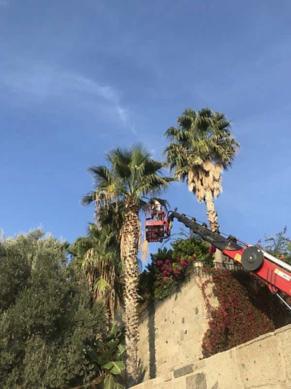 Bodrumda Peyzaj Danışmanlık hizmetleri